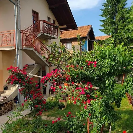 Kantarije * Sarajevo